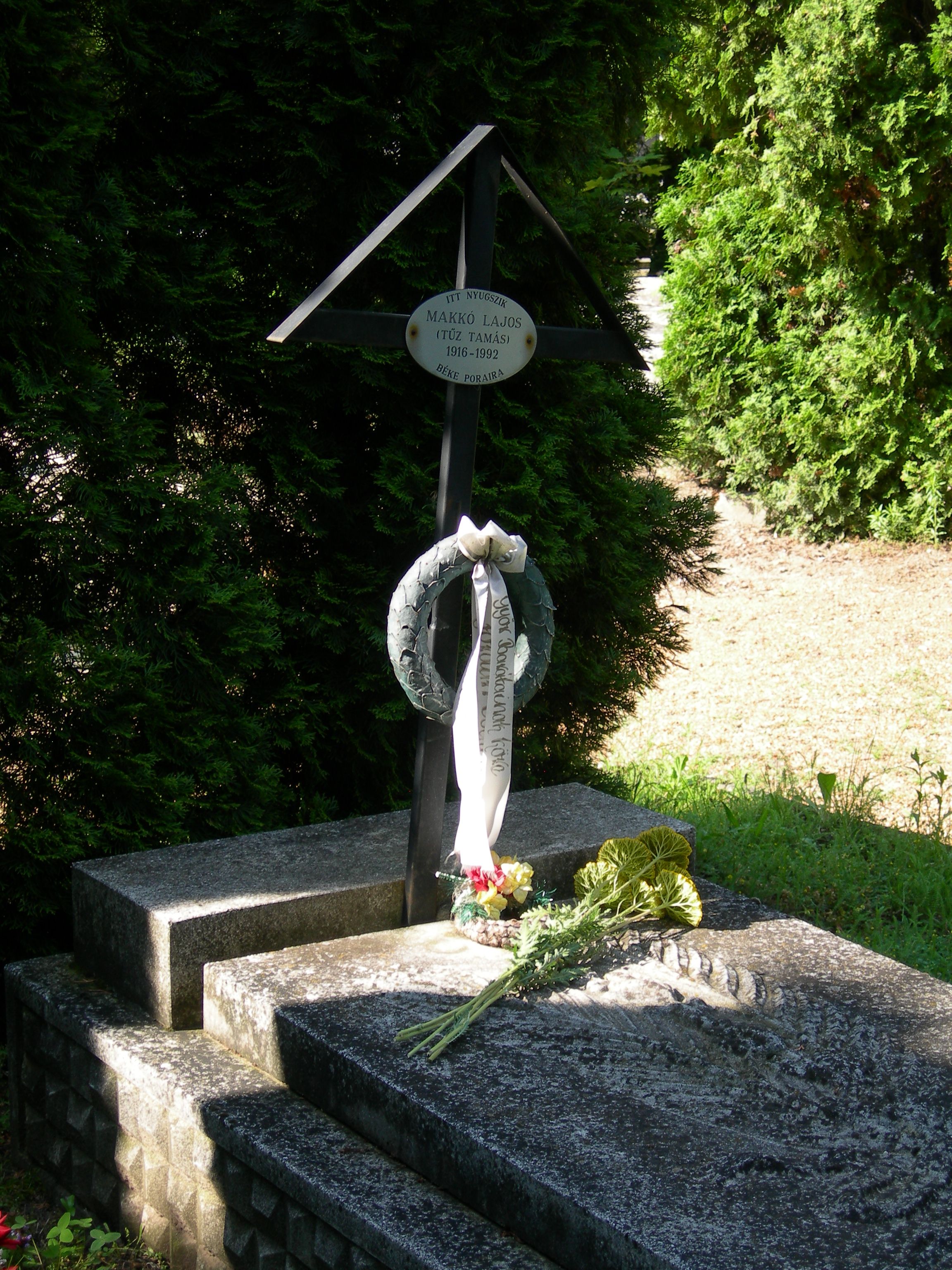 Fotó